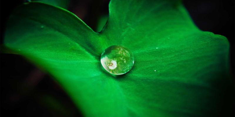 财务指标排行榜：防御性股票的指标特征